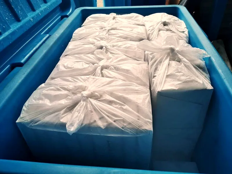 Bagged dry ice blocks in a blue cooler box